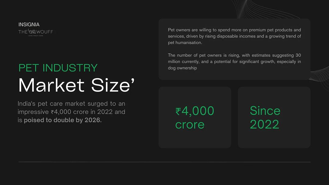 Pitch decks 10