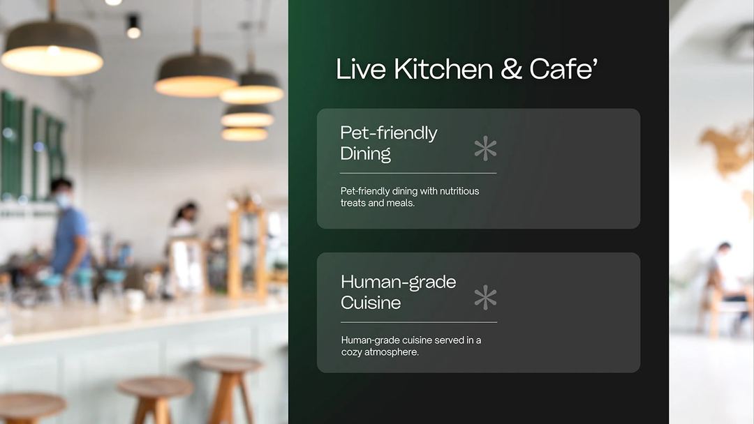 Pitch decks 6